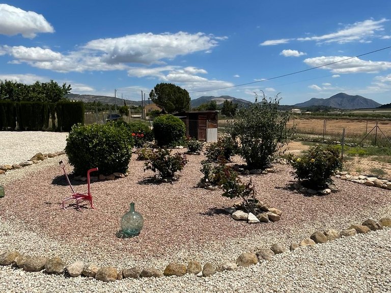Villa for Sale in Pinoso, Alicante 46