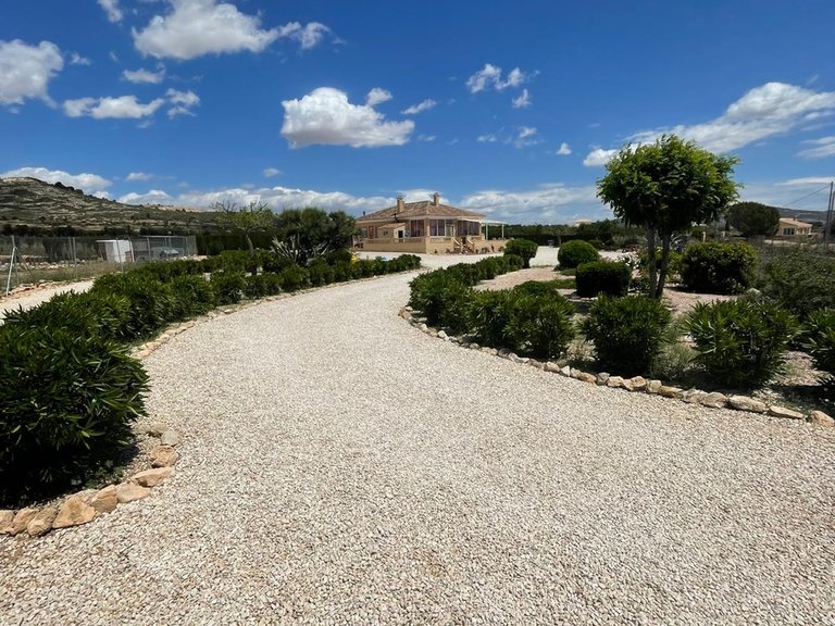 Villa for Sale in Pinoso, Alicante 48