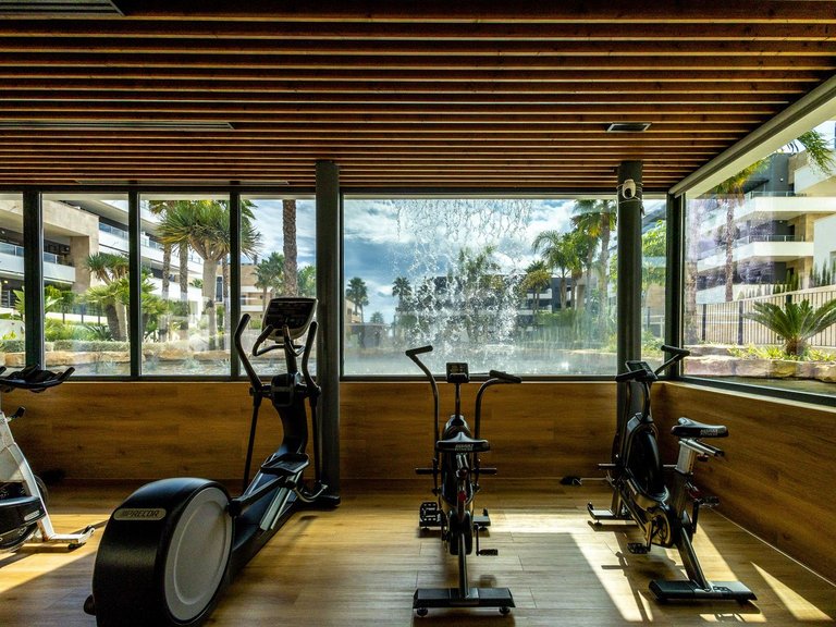Apartment for Sale in Costa Blanca Playa Flamenca, Alicante 37
