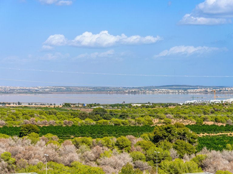 Villa for Sale in Inland Orihuela, Alicante 34