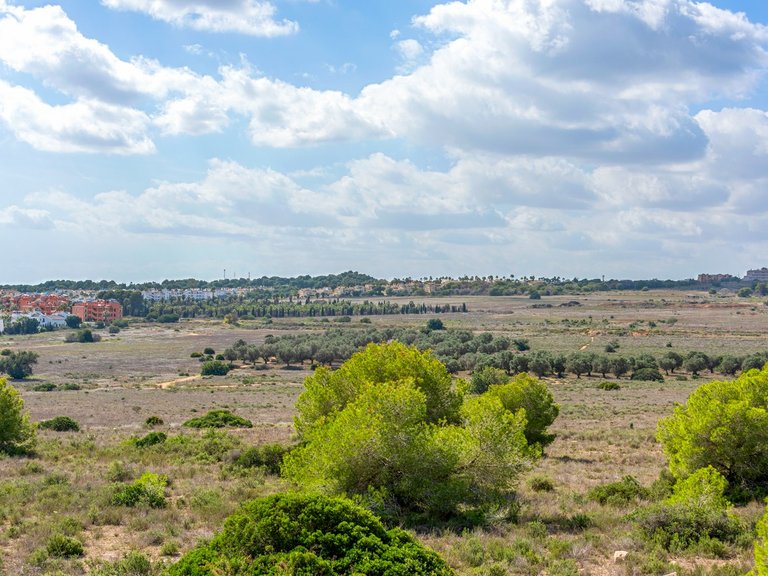 Villa for Sale in Inland Orihuela, Alicante 36