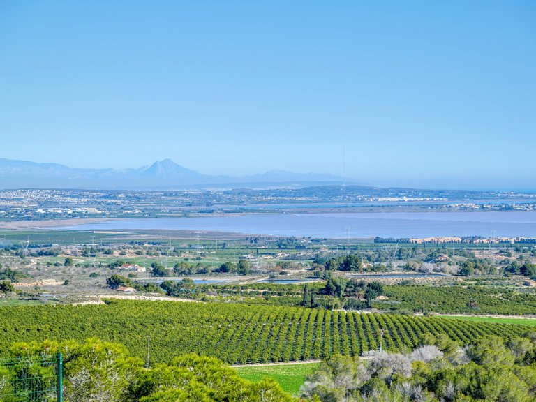 Villa for Sale in Inland San Miguel De Salinas, Alicante 35