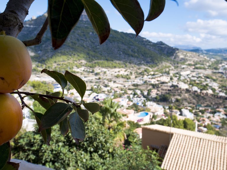 Villa for Sale in Maryvilla, Calpe, Alicante 30