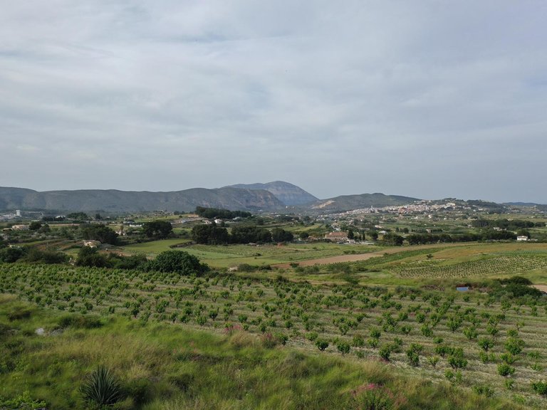 Villa for Sale in Benimarco, Benissa, Alicante 19