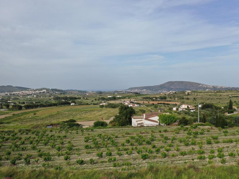 Villa for Sale in Benimarco, Benissa, Alicante 15