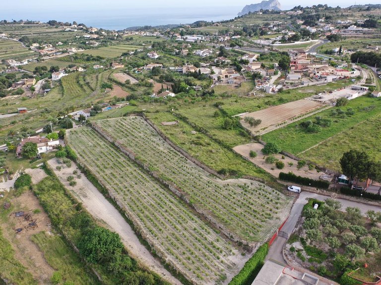 Villa for Sale in Benimarco, Benissa, Alicante 18