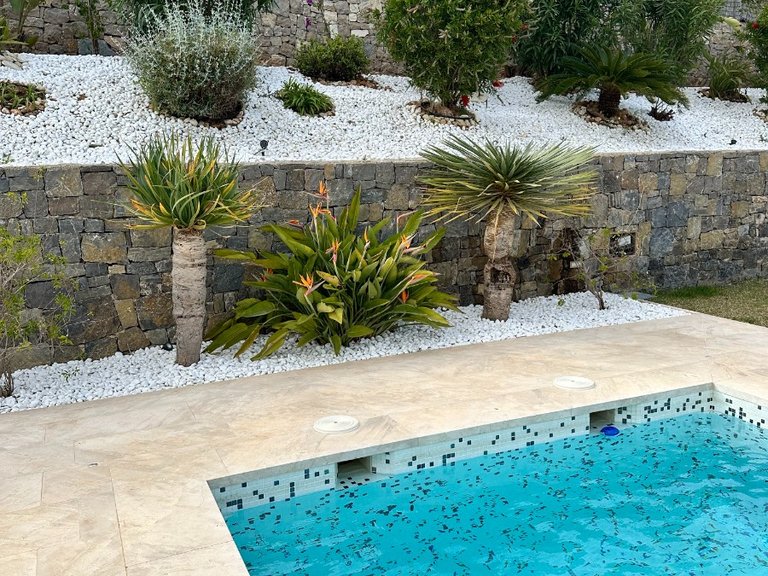 Villa for Sale in Cansalades, Jávea/xàbia, Alicante 21