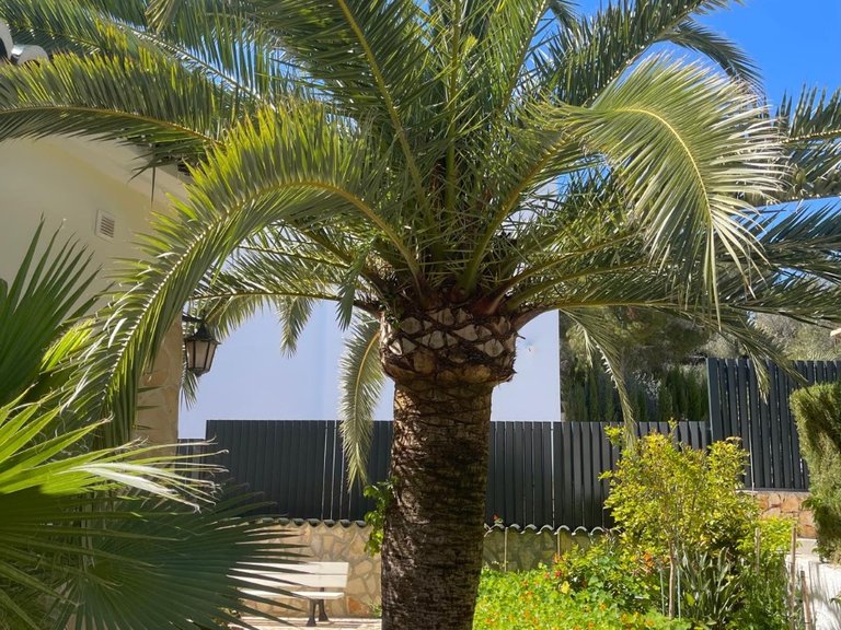 Villa for Sale in Benimeit, Moraira, Alicante 6