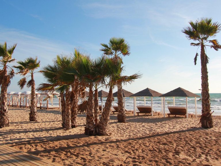 Apartment for Sale in Guardamar Del Segura, Alicante 14
