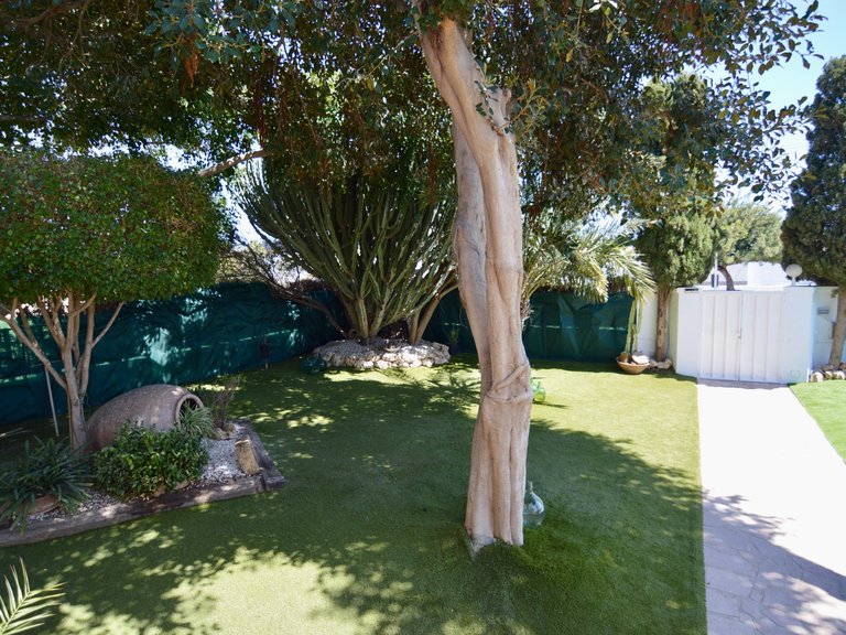 Villa for Sale in Torrevieja, Alicante 32