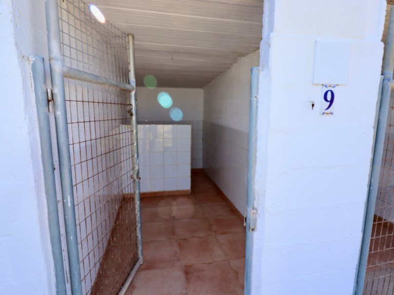 Villa for Sale in Catral, Alicante 49