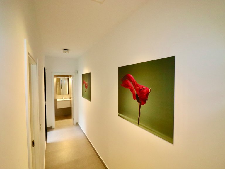 Apartment for Sale in Guardamar Del Segura, Alicante 17