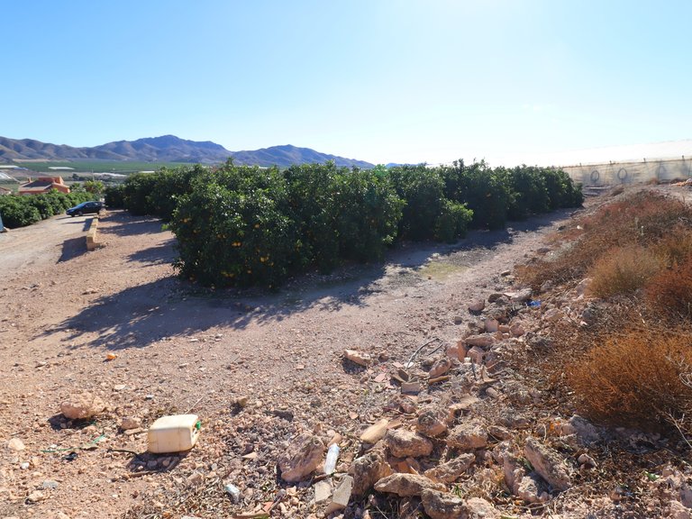 Country House for Sale in Lorca, Murcia 43