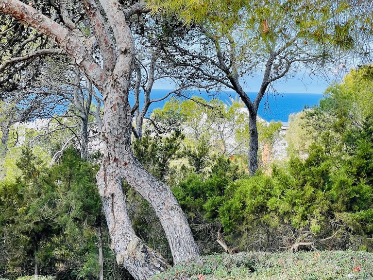 Villa for Sale in Calo D'en Real, Ibiza 9