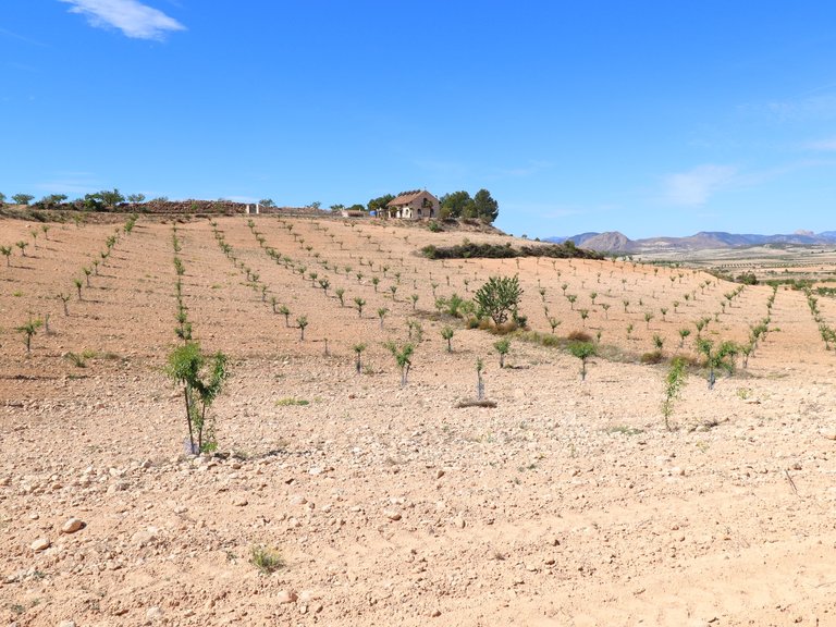 Country House for Sale in Lorca, Murcia 48