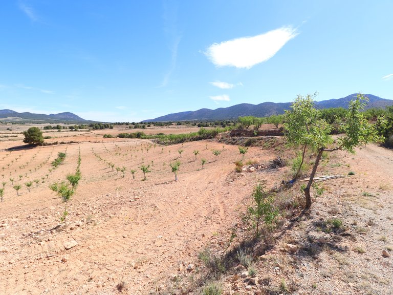 Country House for Sale in Lorca, Murcia 50