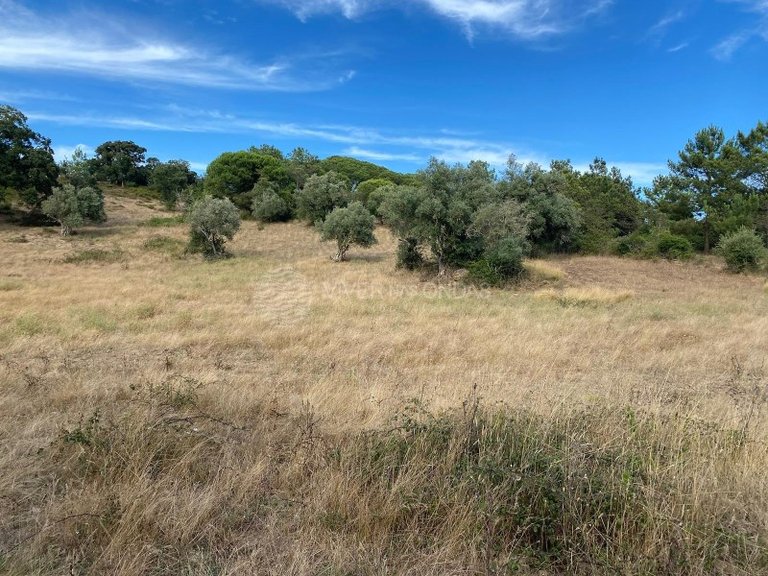 Plot for Sale in Sesimbra, Setubal 3