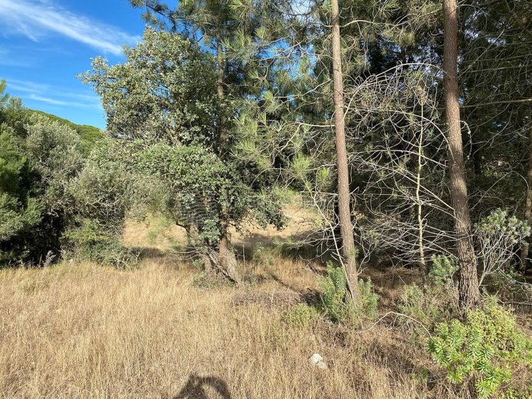 Plot for Sale in Sesimbra, Setubal 6