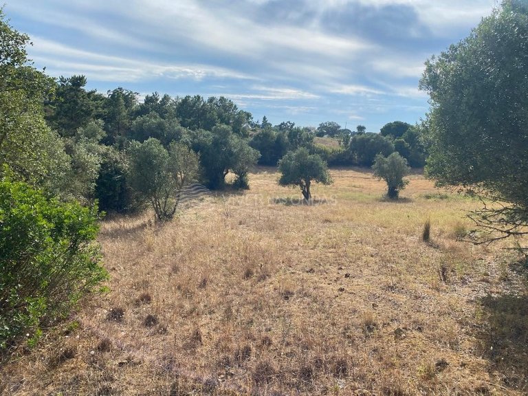 Plot for Sale in Sesimbra, Setubal 7