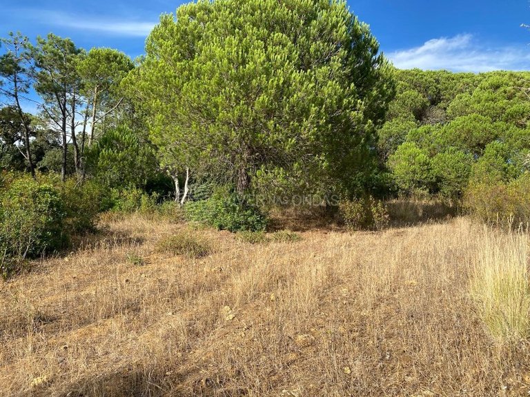 Plot for Sale in Sesimbra, Setubal 8