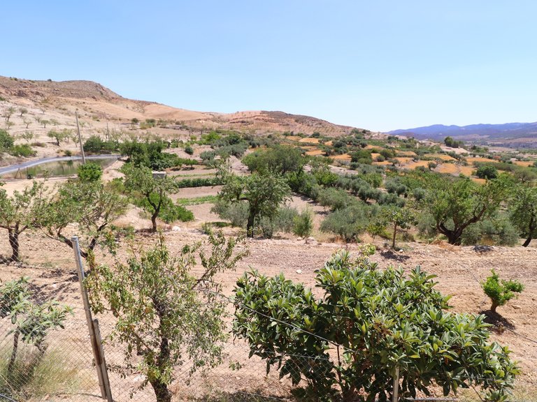 Country House for Sale in Lorca, Murcia 45