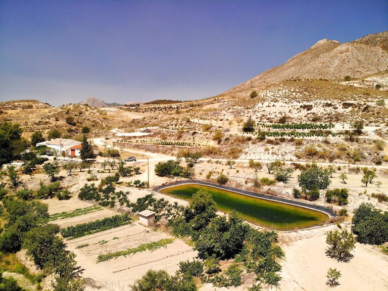 Country House for Sale in Lorca, Murcia 3