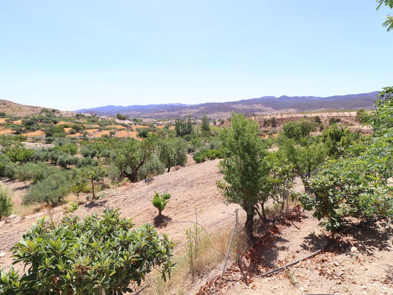 Country House for Sale in Lorca, Murcia 46