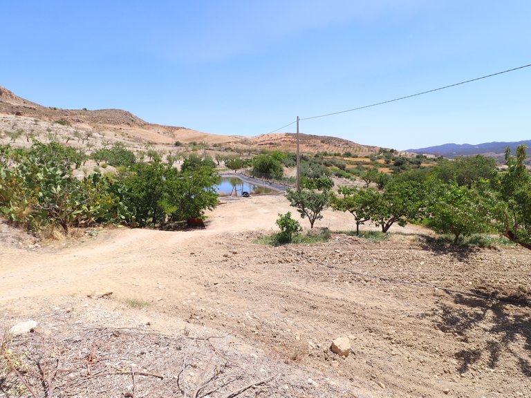 Country House for Sale in Lorca, Murcia 44