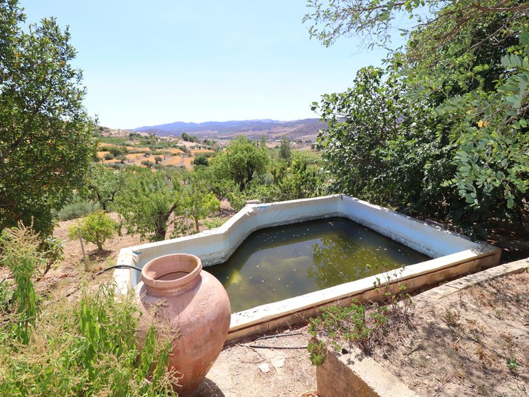 Country House for Sale in Lorca, Murcia 43
