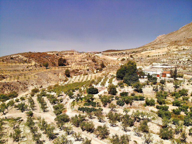 Country House for Sale in Lorca, Murcia 4