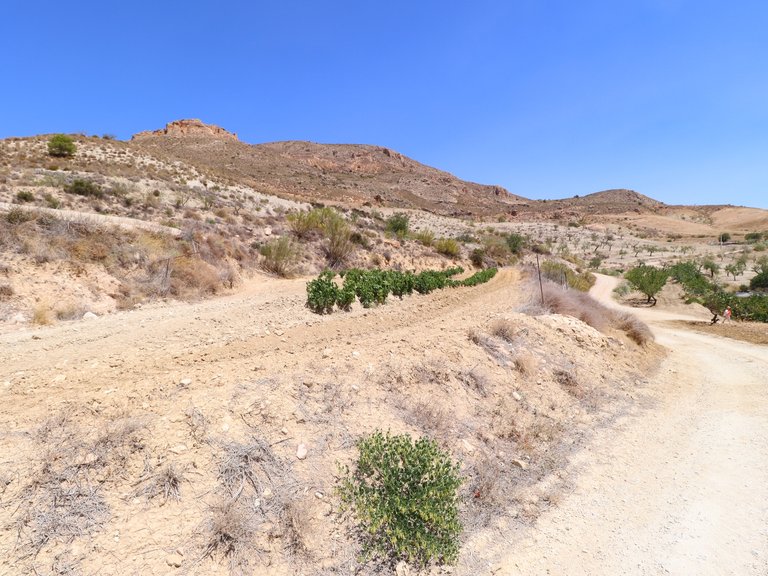 Country House for Sale in Lorca, Murcia 50