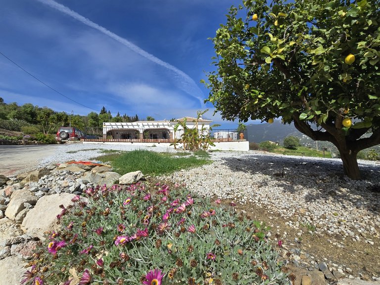 Villa for Sale in Alcaucin, Malaga 10