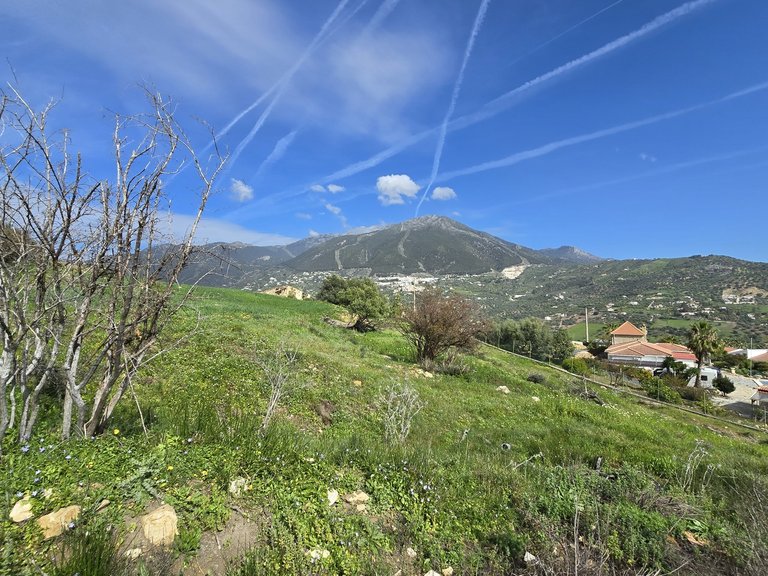 Villa for Sale in Alcaucin, Malaga 15