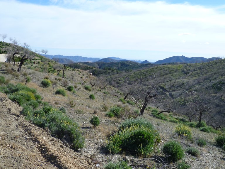 Country House for Sale in Puerto Lumbreras, Murcia 12