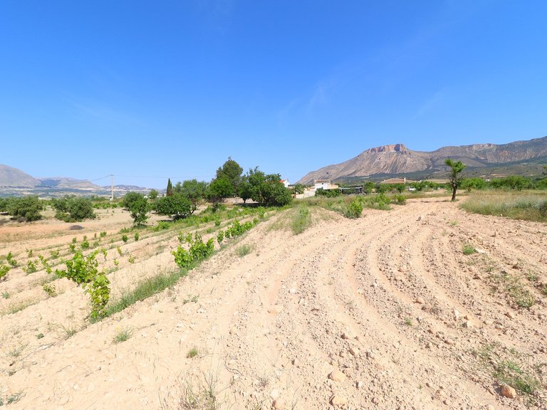 Country House for Sale in Velez-rubio, Almeria 47