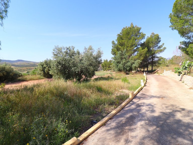 Country House for Sale in Velez-rubio, Almeria 49