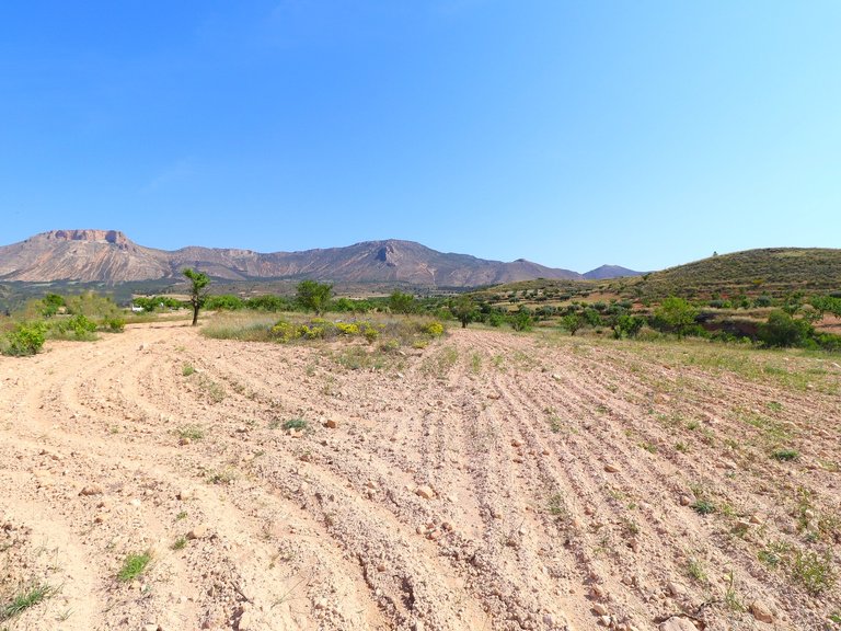 Country House for Sale in Velez-rubio, Almeria 48