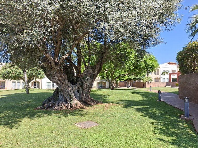 Apartment for Sale in Costa Blanca Denia, Alicante 22