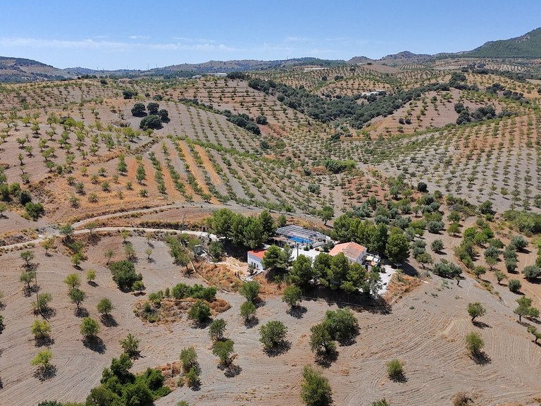 Country House for Sale in Velez-rubio, Almeria 3