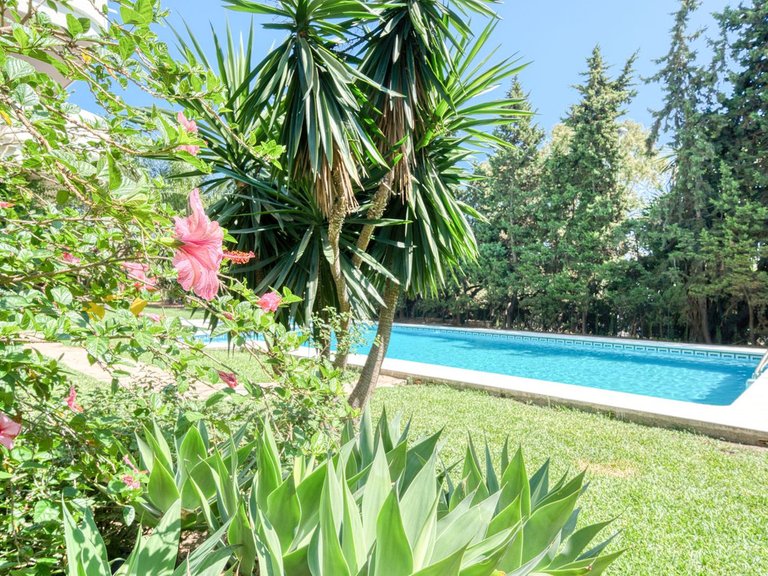 Apartment for Sale in Puerto Banus, Malaga 2