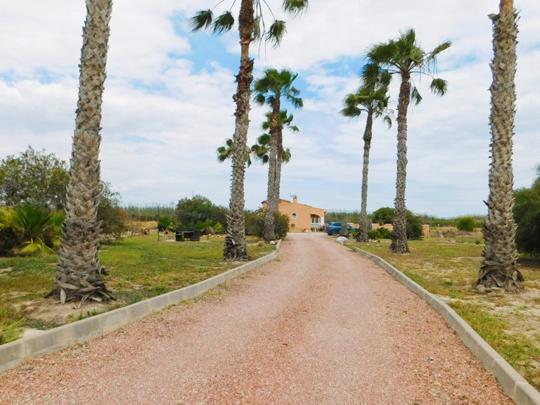 Country House for Sale in Dolores, Alicante 47