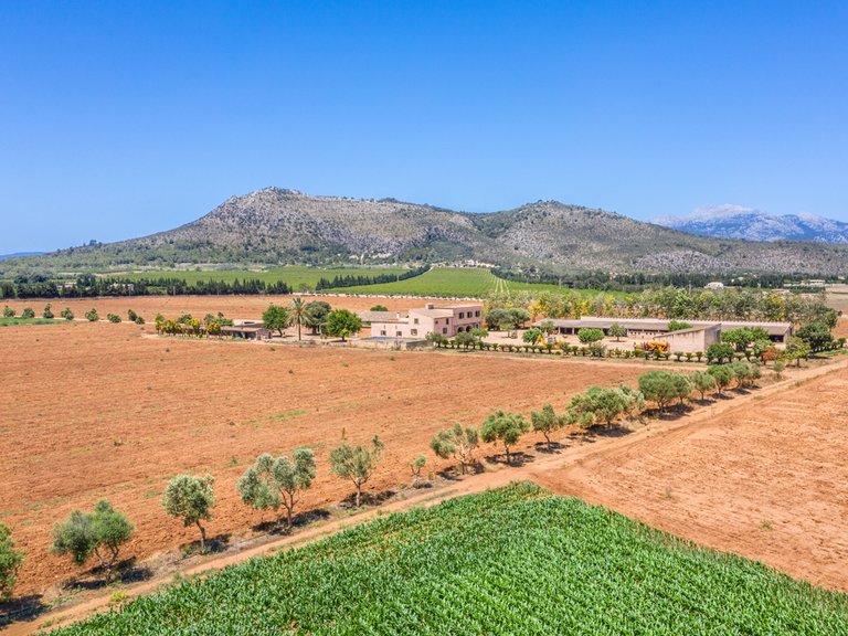 Country House for Sale in Inca, Balearic Islands 1