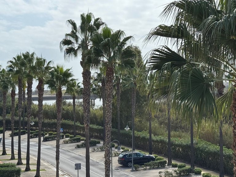 Apartment for Sale in Sotogrande, Cadiz 11