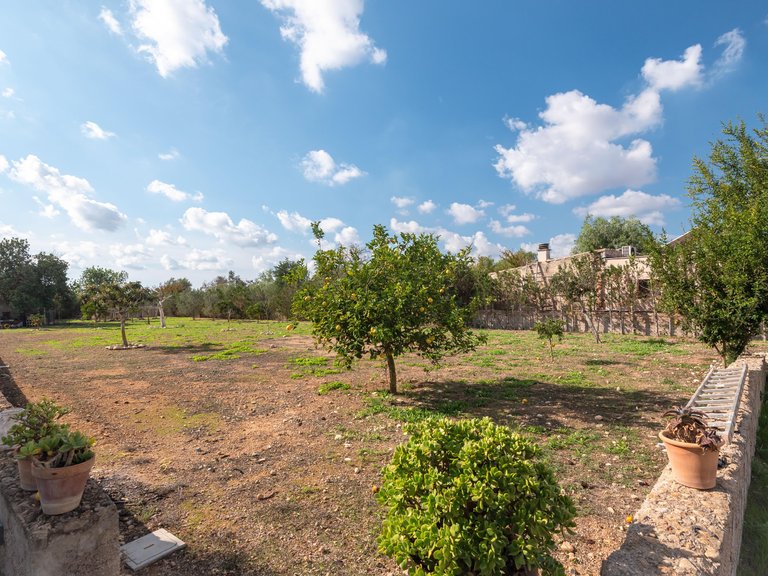 Country House for Sale in Llucmajor, Balearic Islands 14