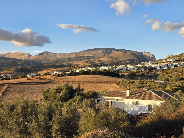 Villa for Sale in Alcaucin, Malaga 4