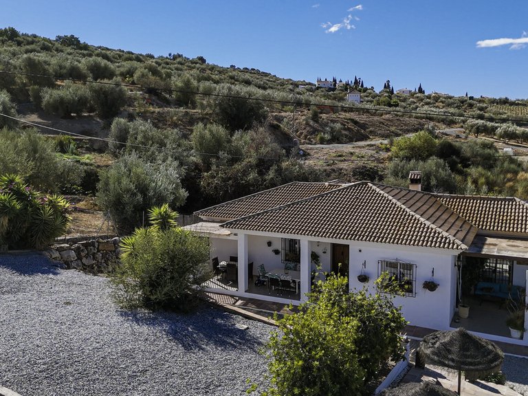 Villa for Sale in Alcaucin, Malaga 40