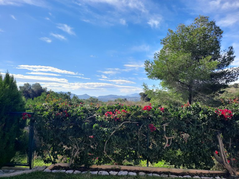 Villa for Sale in Costa Blanca Denia, Alicante 44