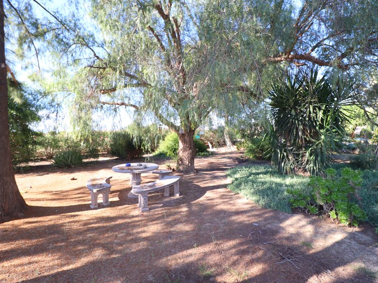Country House for Sale in Lorca, Murcia 47