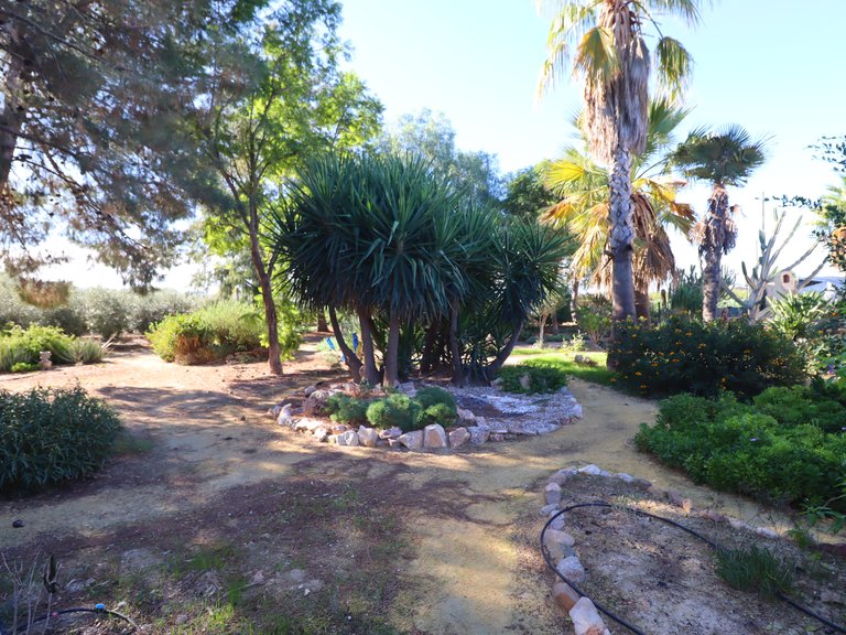 Country House for Sale in Lorca, Murcia 48