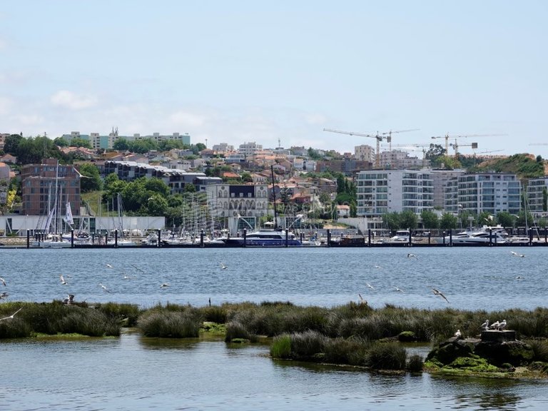 Apartment for Sale in Canidelo, Porto 36